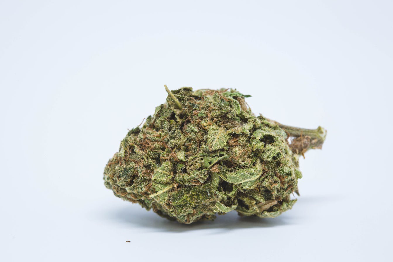 Blueberry marijuana strain